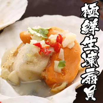 【海鮮王】極鮮生凍扇貝 *1包組( 500g±10%/包 )( 6顆/包 )