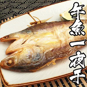 【海鮮王】現撈午魚一夜干 *2片組 ( 200g±10%/片 )