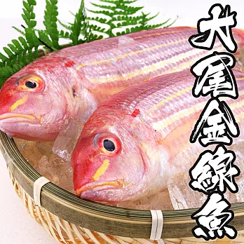 【海鮮王】精選大尾金線魚 *8包組(250g±10%/尾)(2尾/包)