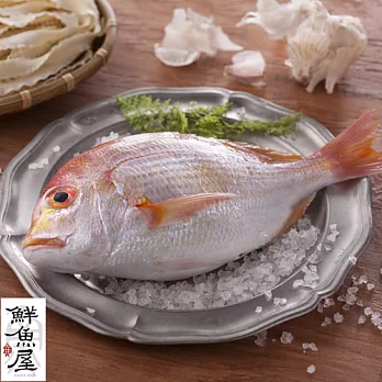 【鮮魚屋】現撈急凍台灣野生赤鯮魚200g*5條