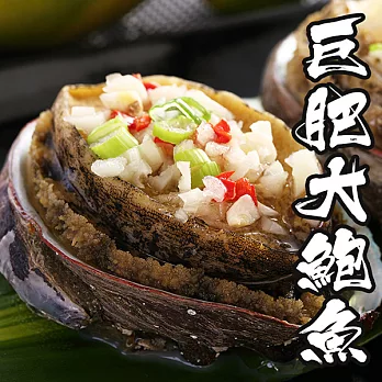 【海鮮王】巨肥鮮美大鮑魚 *2包組( 800g±10%/包 )( 10顆/包 )