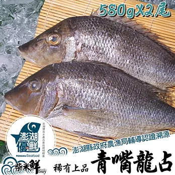 ★澎湖優鮮認證★【柴米鮮BUY】青嘴龍占(青嘴)全條魚580gX2尾