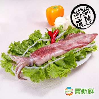 【買新鮮】澎湖頂級特大活凍生小管200g±10%X4條(免運)