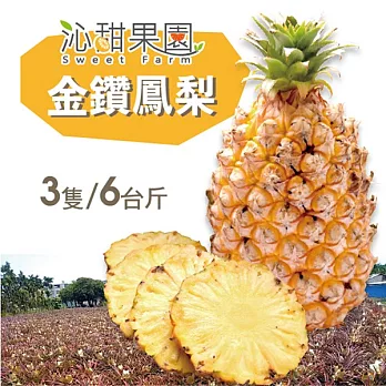 預購《沁甜果園SS》台南金鑽鳳梨3支(共約6台斤)