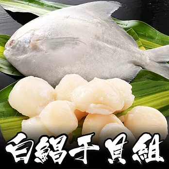 【海鮮王】鮮嫩白鯧干貝雙拼組(鮮嫩白鯧500g+野生大干貝500g)