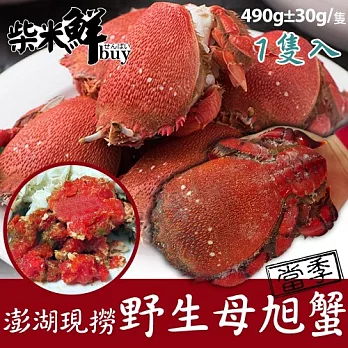 【柴米鮮BUY】澎湖現撈野生母旭蟹(490ｇ/隻)X1隻