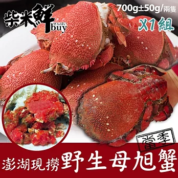 【柴米鮮BUY】澎湖現撈野生母旭蟹2隻(700g)X1組