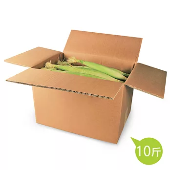 有點大 鮮摘含苞無毒玉米筍(10斤)