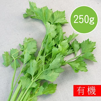 【陽光市集】花蓮好物-有機芹菜(250g)