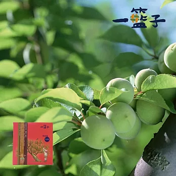 預購《一籃子》紫蘇梅(獨享包)75g/包，共10包