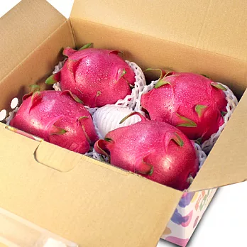 【鮮果日誌】白肉 紅龍果/火龍果 (4入禮盒裝)