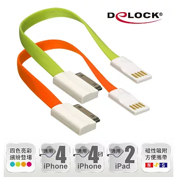 Delock 蘋果30pin接頭 20公分充電傳輸線 (超值二入組 綠+橘)