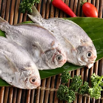 上野物產 東北角野生肉魚 共15隻 100g 1g 隻 現省 痞客邦