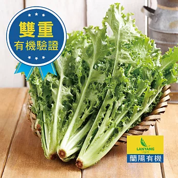 【蘭陽有機】有機明眼萵苣（菊苣）250g