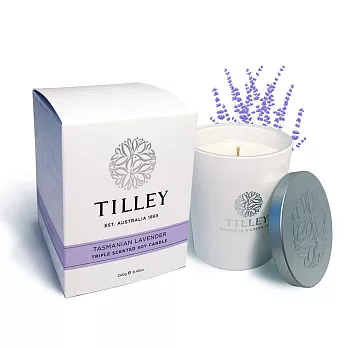 Tilley百年特莉 薰衣草香氛大豆蠟燭240g