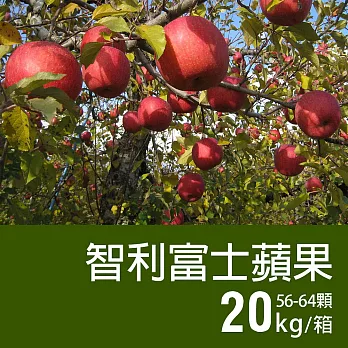 【優鮮配】智利富士蘋果56-64顆/20kg