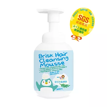 【Helium Aurum德里歐】舒活洗髮慕斯 300ml