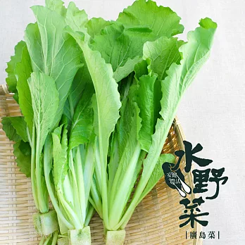 【陽光市集】水野菜- 廣島菜(250g)★無毒水耕蔬菜★