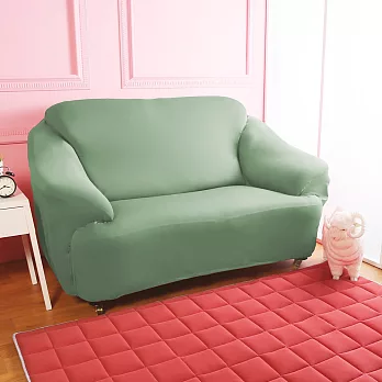【Homebeauty】涼感防蚊日本大和彈性沙發罩-2人座-八色可選含羞綠