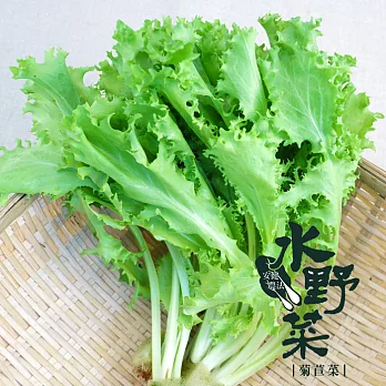 【陽光市集】水野菜-菊苣(250g)★無毒水耕蔬菜★