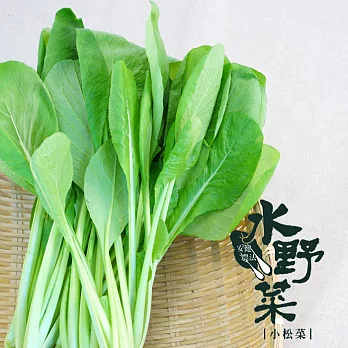 【陽光市集】水野菜-小松葉(250g)★無毒水耕蔬菜★