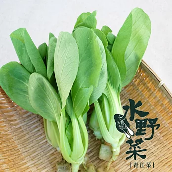 【陽光市集】水野菜-青江菜(250g)★無毒水耕蔬菜★