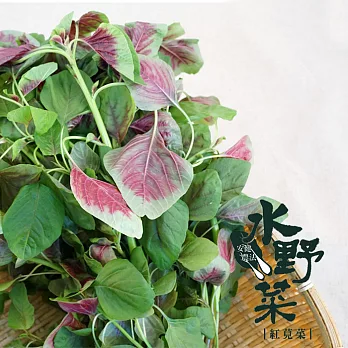 【陽光市集】水野菜-紅莧菜(250g)★無毒水耕蔬菜★