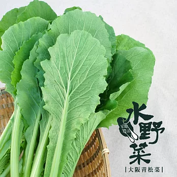 【陽光市集】水野菜-大阪青松菜(250g)★無毒水耕蔬菜★