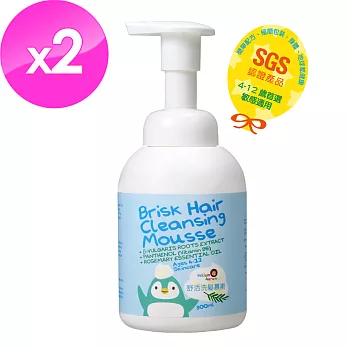 【Helium Aurum德里歐】舒活洗髮慕斯 300mlx2