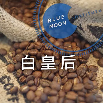 Blue Moon精品咖啡【白皇后】哥斯大黎加蜜處理中淺烘咖啡豆(半磅)
