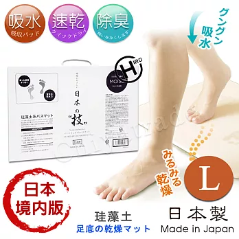 【日本HIRO境內版】日本製 珪藻土足乾樂 乾燥快 超吸水抗菌 速乾地墊