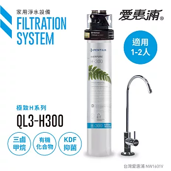 【愛惠浦公司貨】EVERPURE 旗艦精緻型淨水器(QL3-H300)