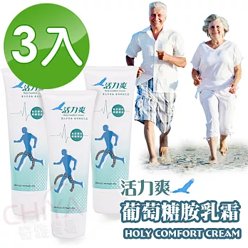 【活力爽】葡萄糖胺乳霜 Holy Comfort Cream(如鷹展翅高飛使您重新得力) 3入