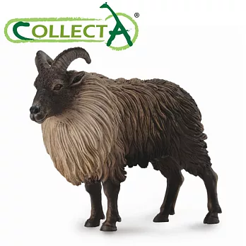 【CollectA】喜馬拉雅塔爾羊