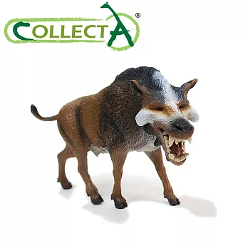 【CollectA】完齒獸