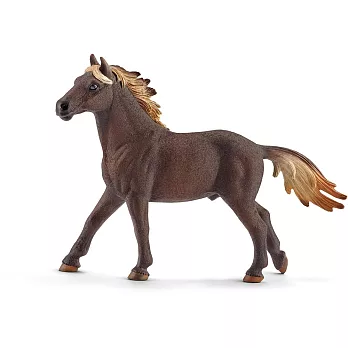 Schleich 史萊奇 - 公美國野馬