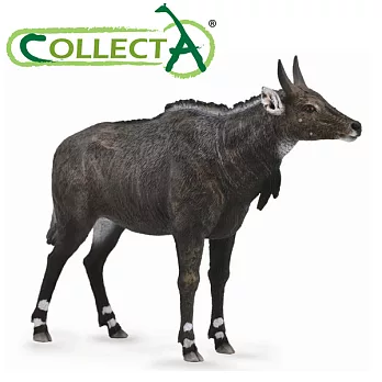 【CollectA】藍牛羚