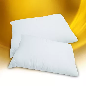 【法式寢飾花季】純品良織-超彈性保暖舒眠枕2入