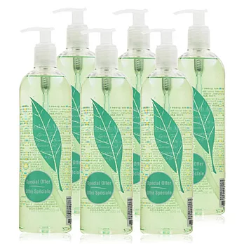 【Elizabeth Arden 雅頓】綠茶沐浴精 500ml x6入組