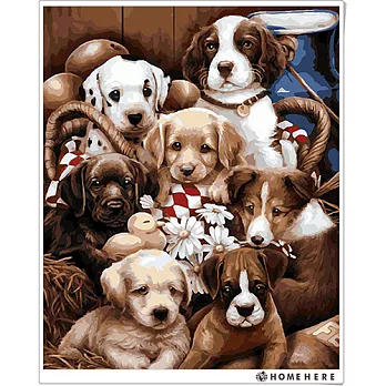 [HOMEHERE] DIY數字油畫/ 寵愛-暖融融