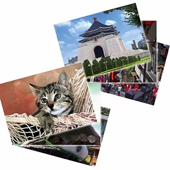 台灣風情／動物寫真 3D立體明信片侯硐車站