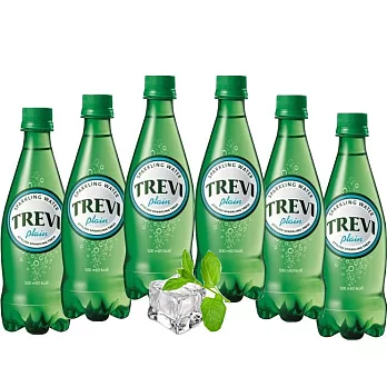 LOTTE-韓國TREVI天然氣泡礦泉水(500ml x 20入)