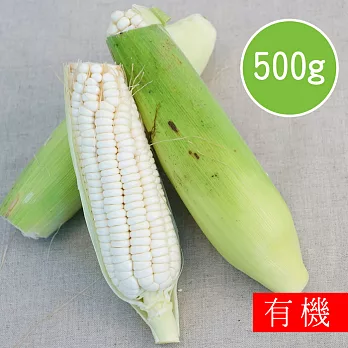 【陽光市集】花蓮好物-有機糯玉米(500g)