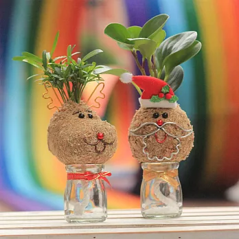 【迎光】耶誕老人&麋鹿苔球二入組合