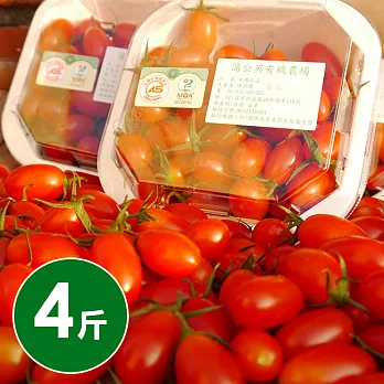 【食在安市集】預購-MOA有機認證台灣本產有機玉女小蕃茄4斤(每盒一斤包裝•免運宅配)