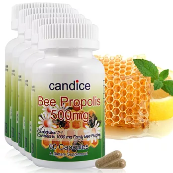 【Candice】康迪斯精品蜂膠膠囊(500mg/60顆*5瓶)Bee Propolis