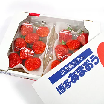 【鮮果日誌】日本進口空運草莓(2入裝)