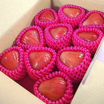 【鮮果日誌】六龜鄉特級-黑鑽石蓮霧(2.5台斤裝)