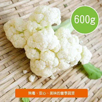 【陽光市集】陽光農業-白花菜(600g)