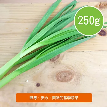 【陽光市集】陽光農業-蒜苗(250g/包)